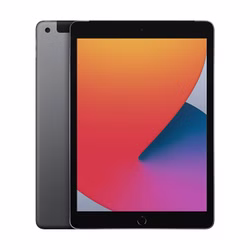 Apple iPad (8.Gen.) Wi-Fi + 4G 10,2 Zoll Tablet Spacegrau Space Gray