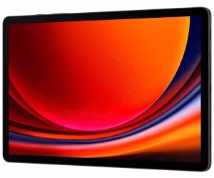 samsung-galaxy-tab-s9-wifi-grau-4.jpg